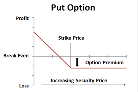 Risk profile of a put option